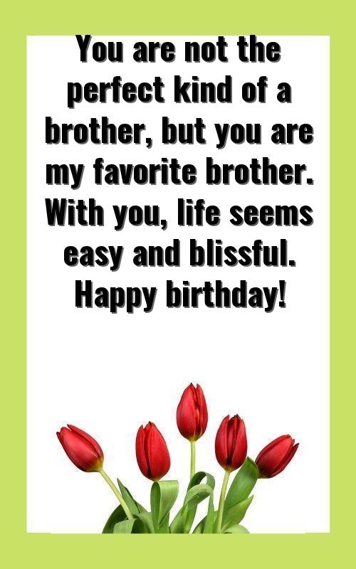 birthday wishes lines for brother